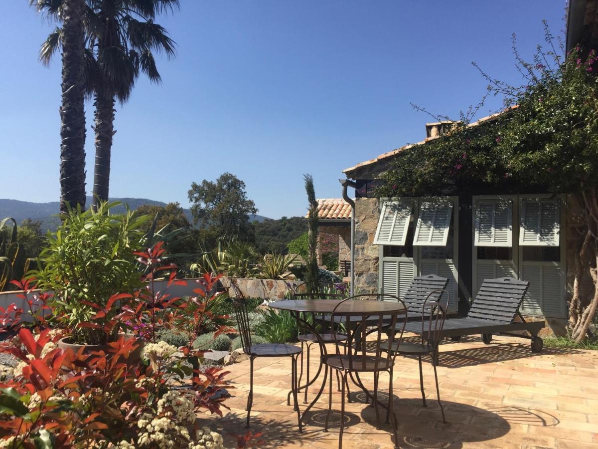 Suite with Mountain View,1049794894:JPEG