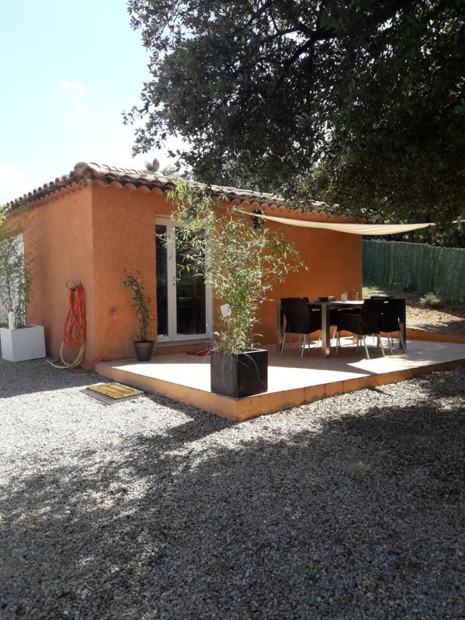 Studio Terrace