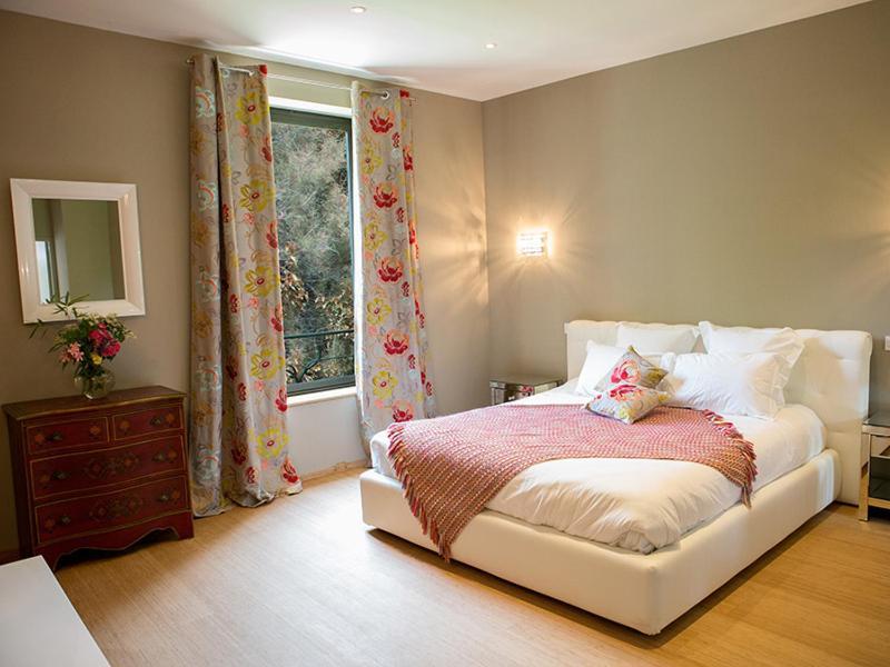 Suite Garden View
