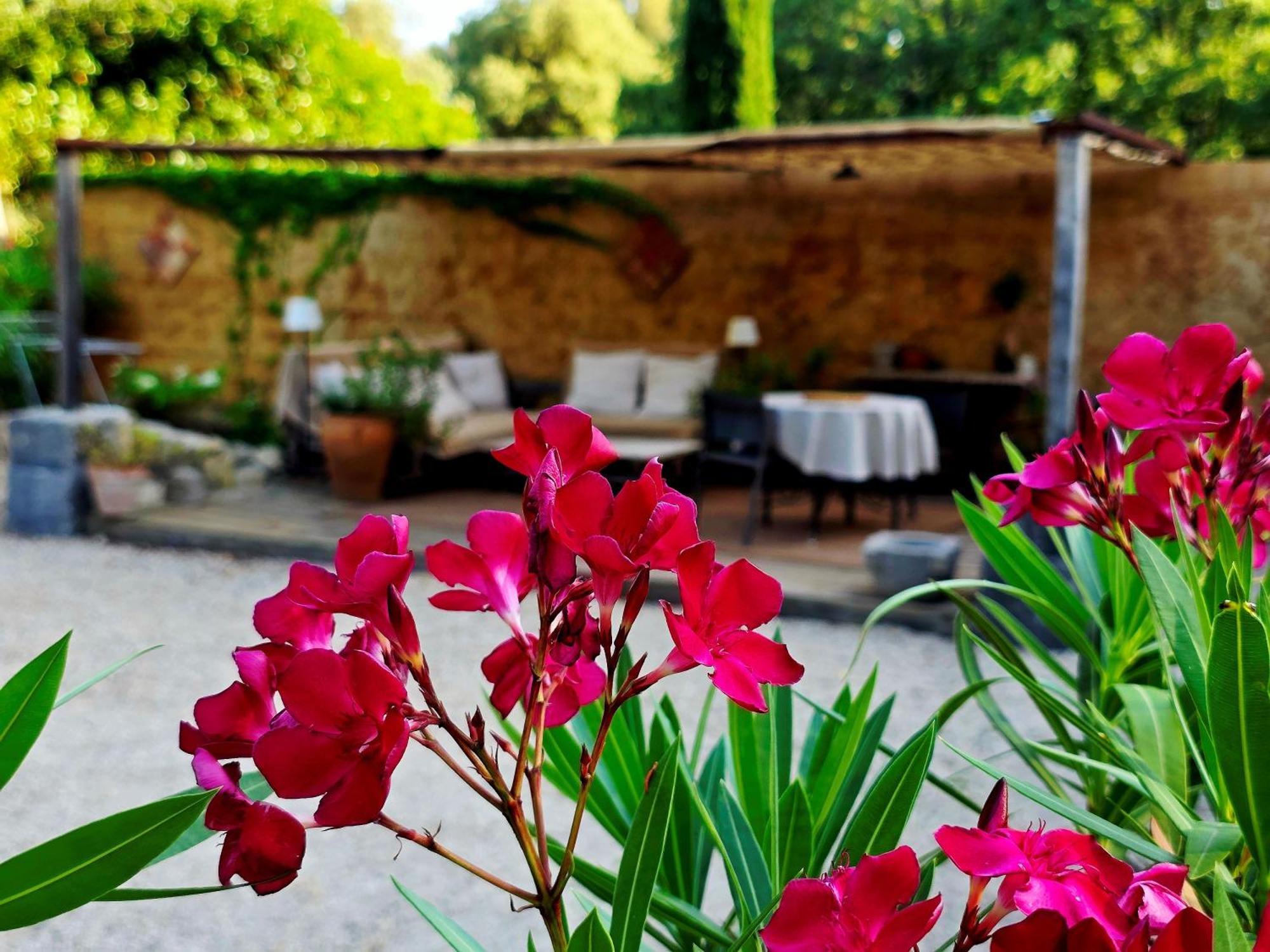 Studio Garden View