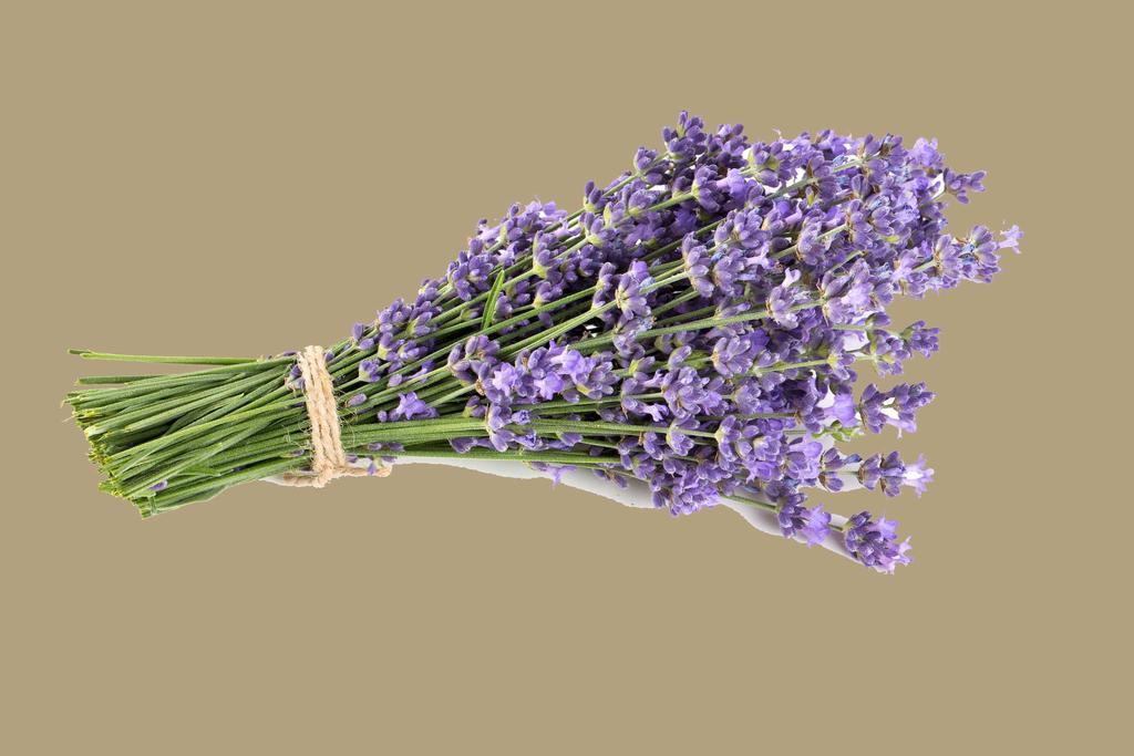 Deluxe King Room,217936148:JPEG