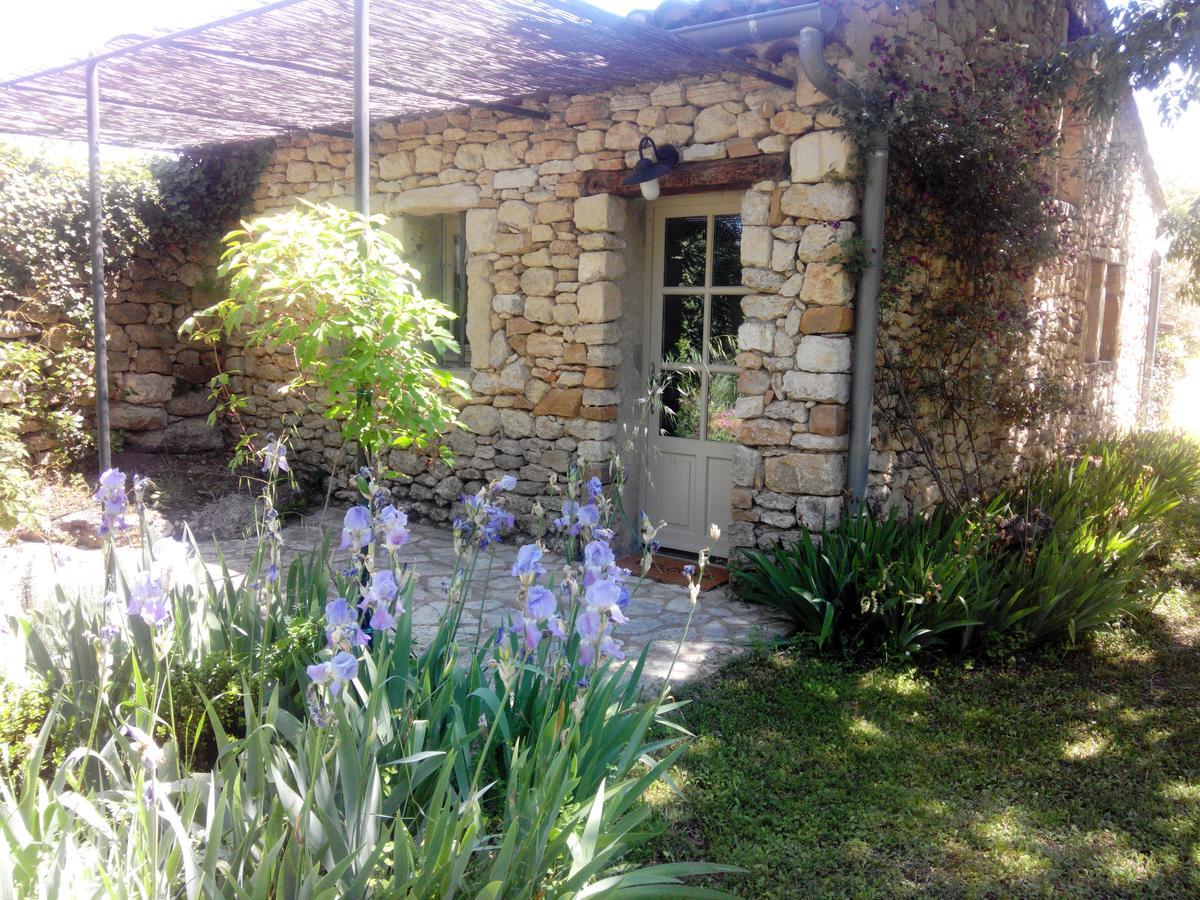 Studio with Garden View,638869122:JPEG