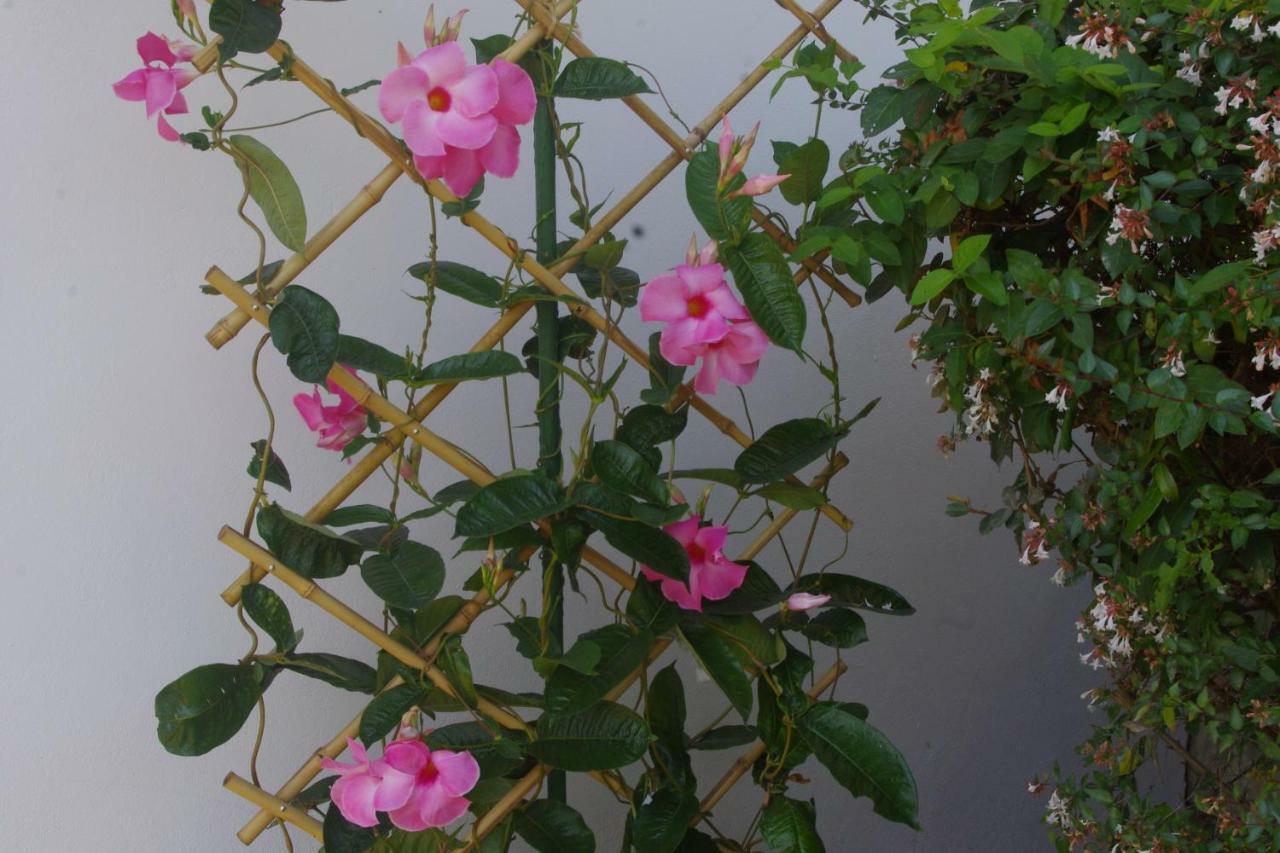 Double Room Garden View