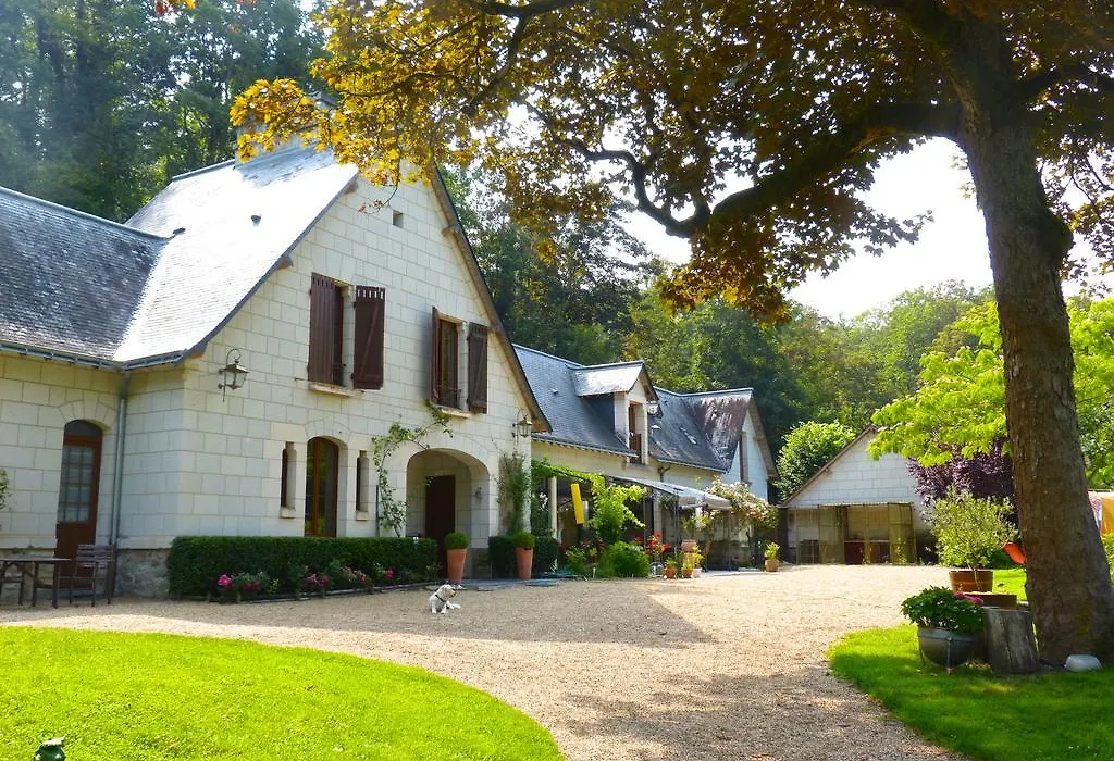 Domaine de Joreau-1