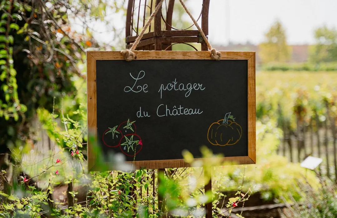 Château Pape Clément-1