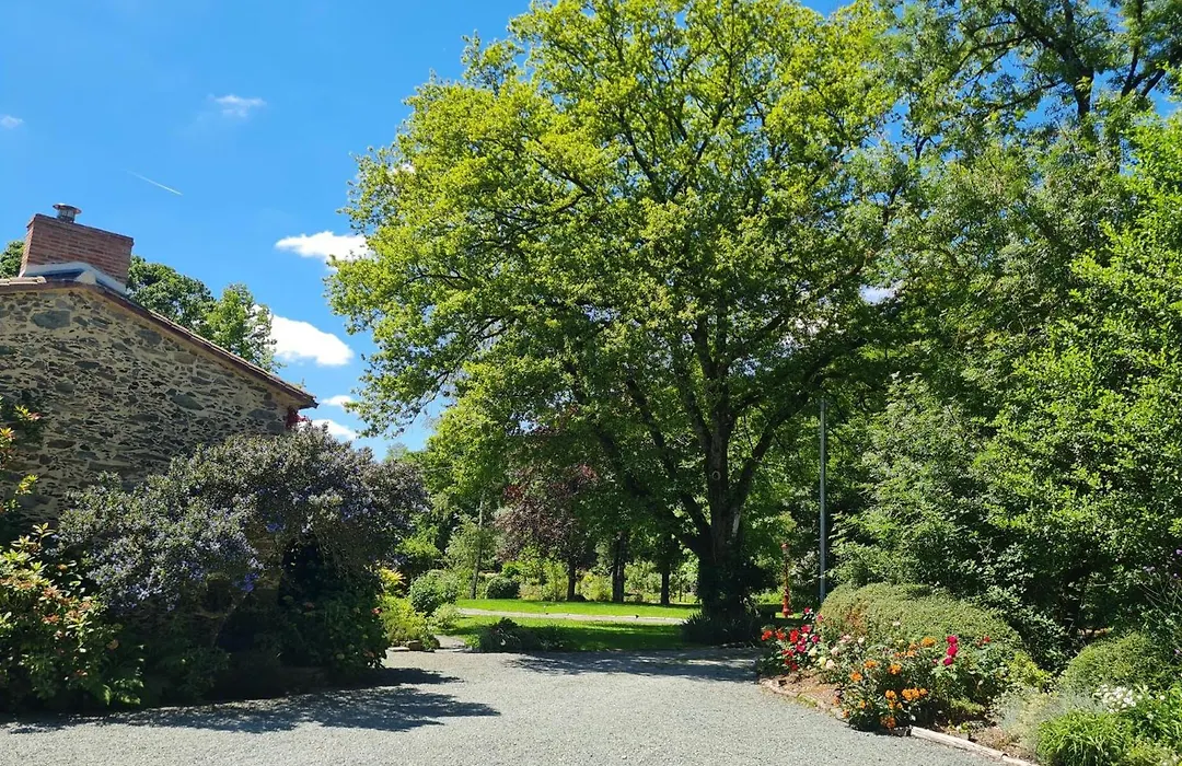 Gîte et Chambres d'Hôtes du Petit Moulin-1