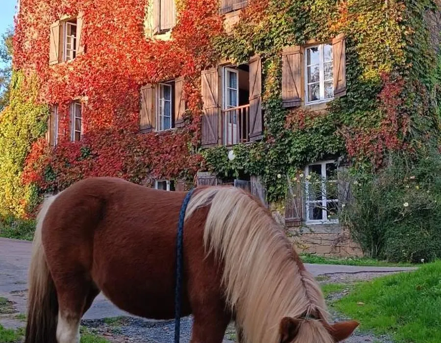 Le moulin de vaux-1
