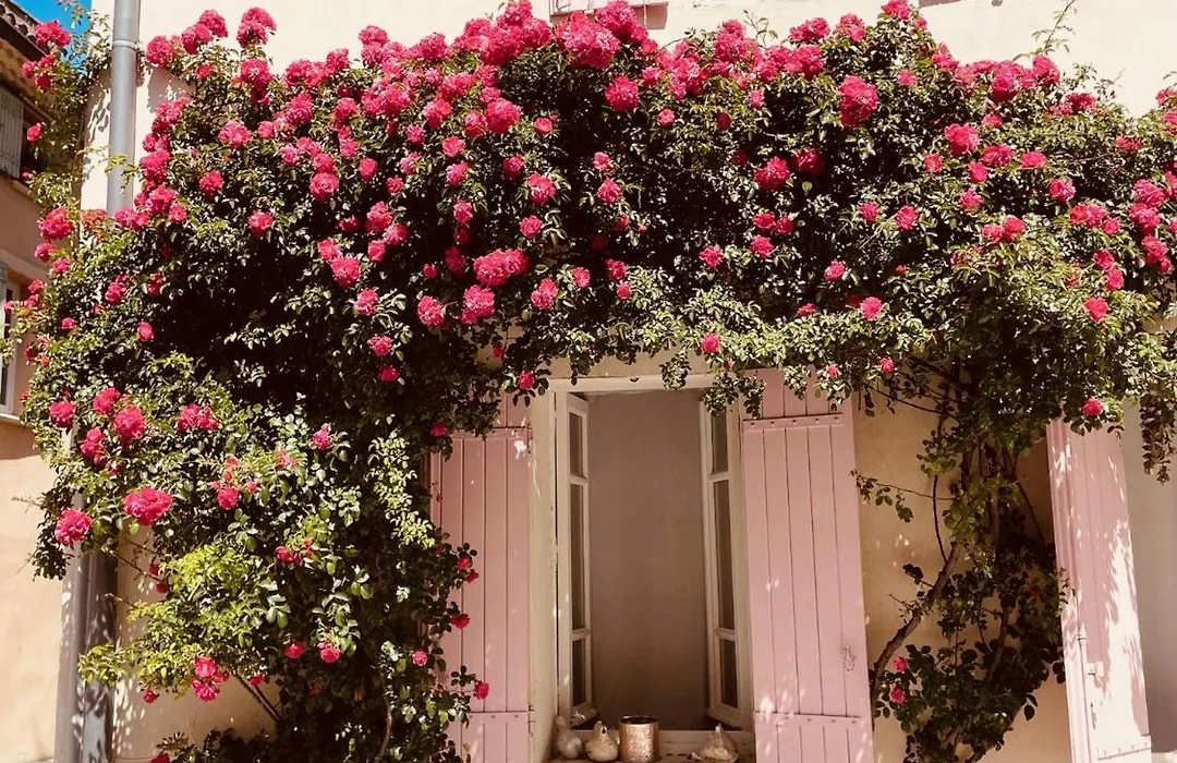 B&B Temps Suspendu Provence-1