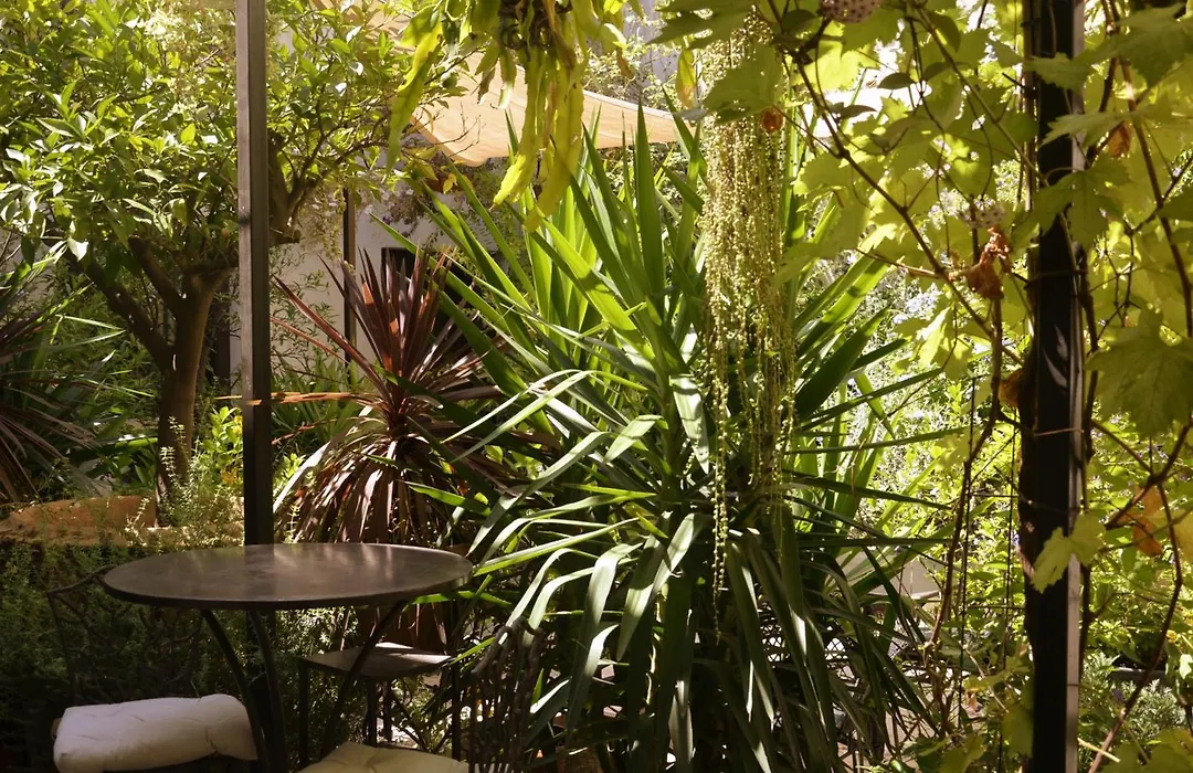 La Maison des Augustins 4 stars Spa et Fitness-1