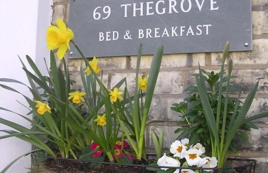 69Thegrove-1