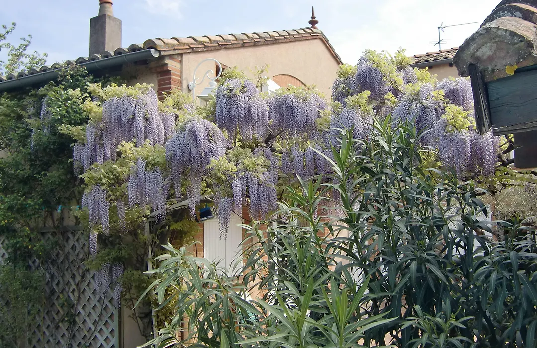 La Villa des Violettes-1