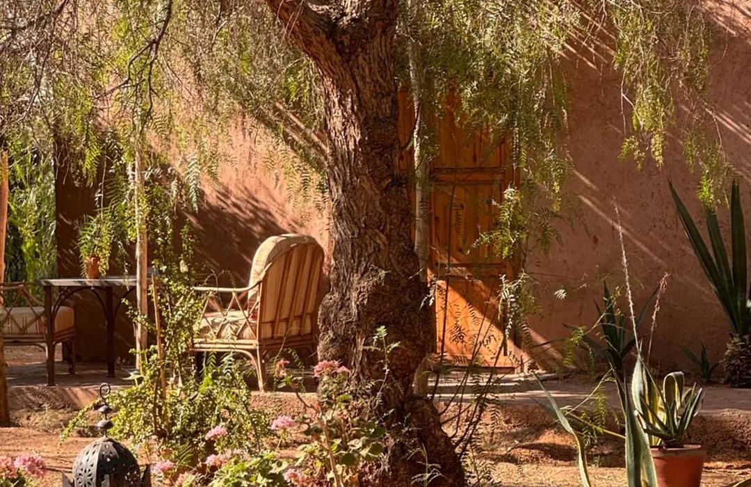 La Ferme Berbere (Adults Only)-1