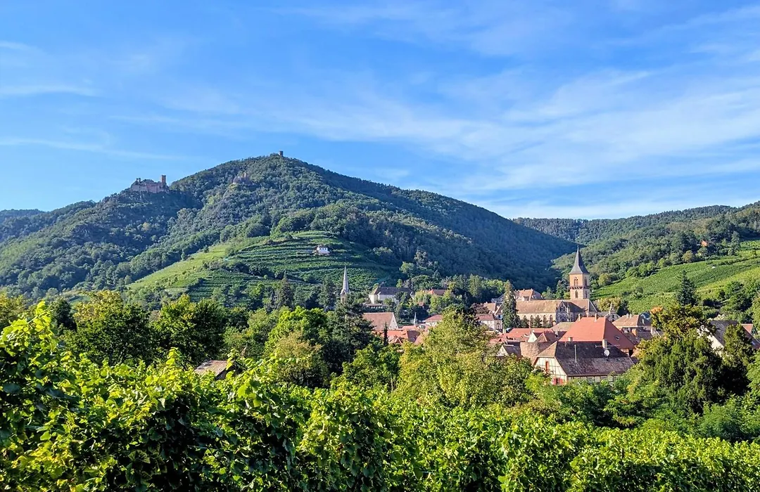 Chambres d'hôtes Les Ecrins-1