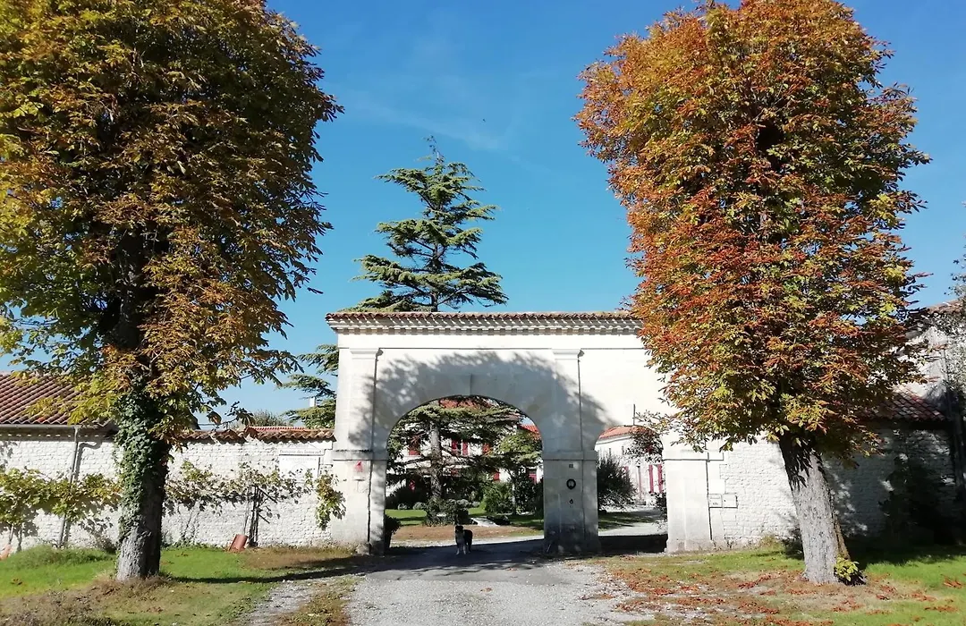 Domaine des Tonneaux-1