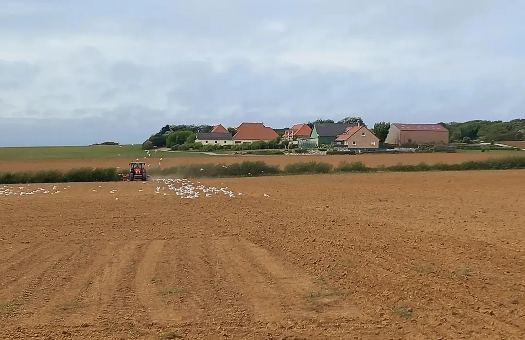 La ferme des 4 vents-1
