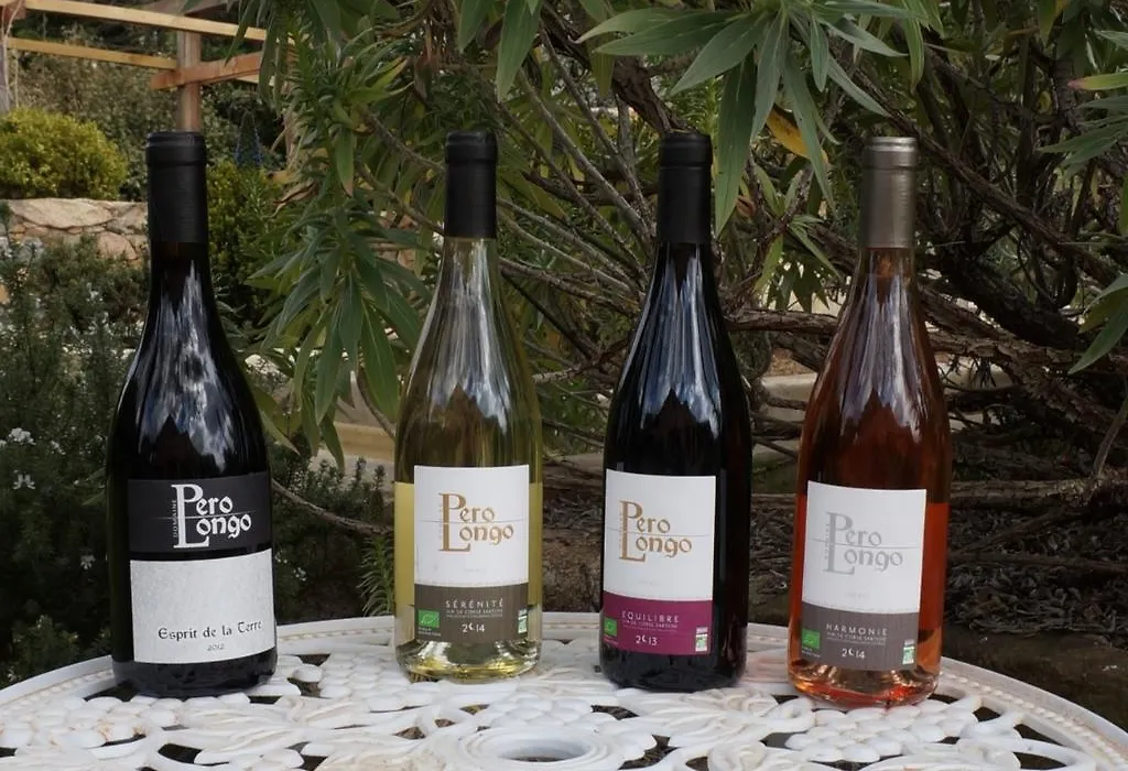 Chambre d'Hôtes Domaine Pero Longo-1