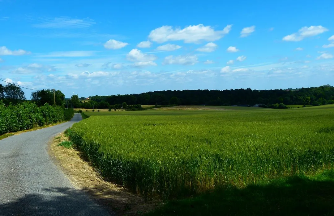 Le Petit Verger-1