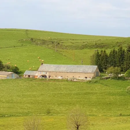 Horizon Aubrac Laguiole-3