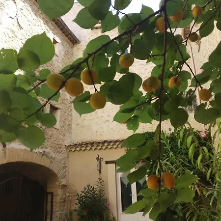 Le Térébinthe B&B-2