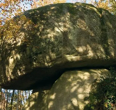 Chambre D'Hôtes De La Roche Tremblante-2