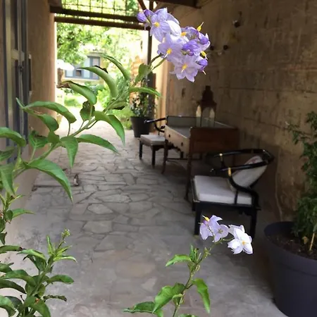 Un jardin en ville-2
