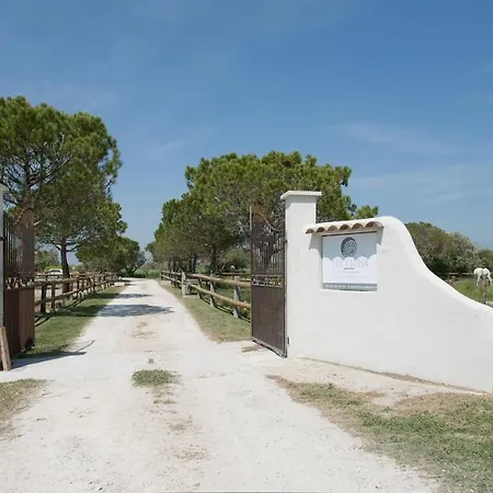 Mas Lou Caloun - Chambre d'Hôte face à la piscine en Camargue - Les Saintes Maries de la Mer-3