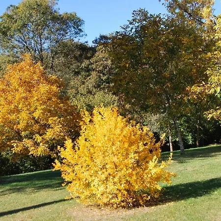 Domaine La Bastide-2
