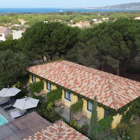Villa Alivu Di Calvi-2