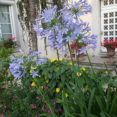 La Belle Vie B&B-2