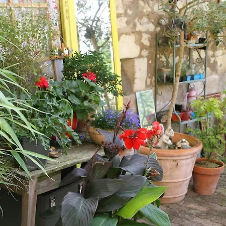 Les petites Mirabelles-3