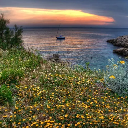 La Petite Calanque-3