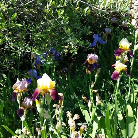 La Bastide des Pins-2