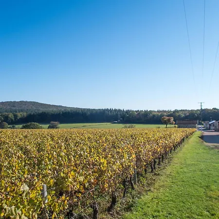 Domaine Joseph Lafarge Wine Resort B&B-3