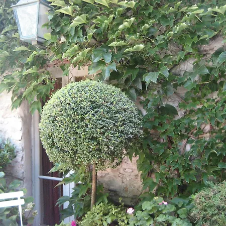 Maison d'Hôtes de l'Evêché-3