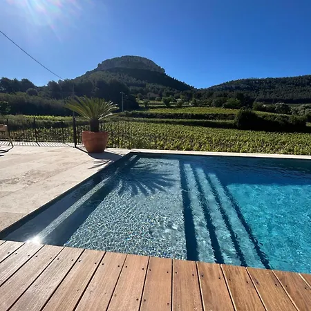 Côté vignes cassis-3