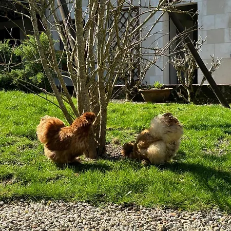 Le Petit Hureau-2