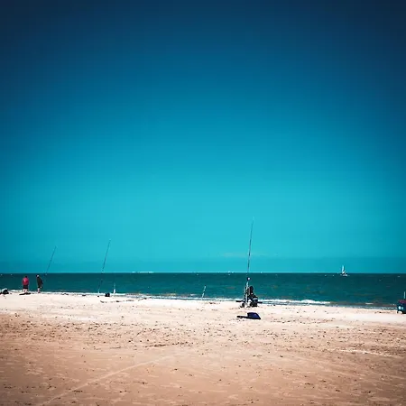 Le 105, Honfleur-2