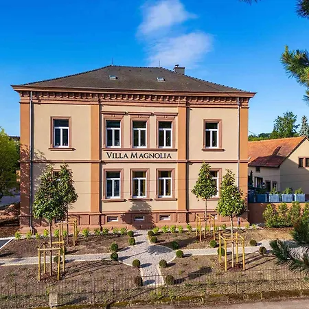 Villa Magnolia Wissembourg-3