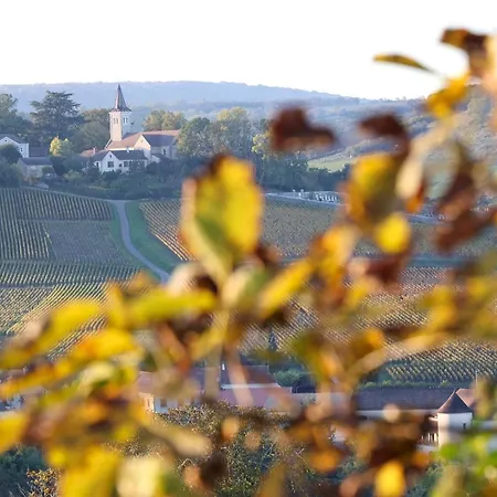 Le Domaine de Moroges-2