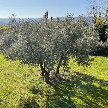 Provence Km28-2