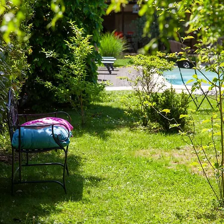 O'Myosotis - 400m Centre Historique - Parking Gratuit - Piscine et Jardin-3