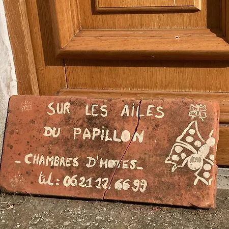 Sur les Ailes du Papillon-La Suite-3