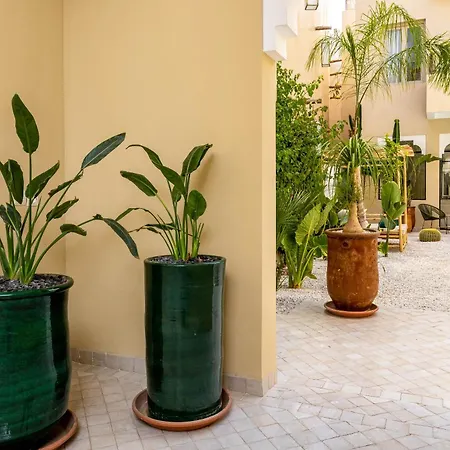 Riad Malaika-2