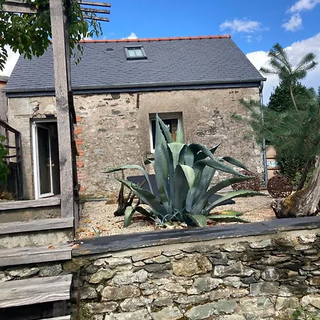 Ô Bord de Loire-3