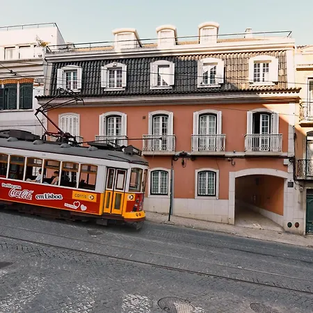 Lapa 82-3