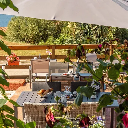 Hotel Hibiscus-2