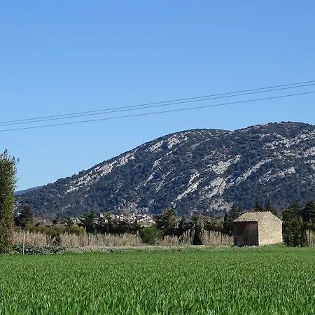 La Louvière des Bruyères-2