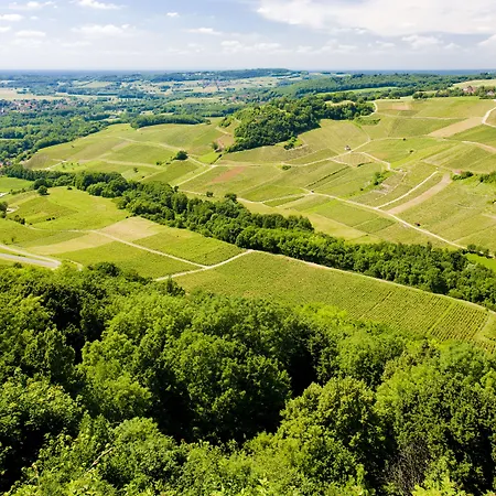 Maison d'hôtes&SPA La Scierie-3