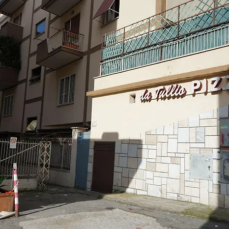 Mikasa Balduina Roma-2