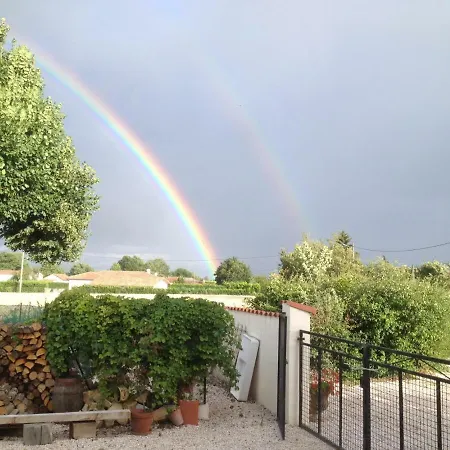 Les Glycines-2